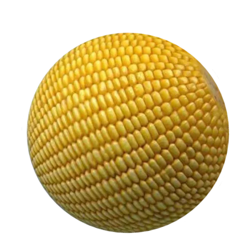 Placeholder image.